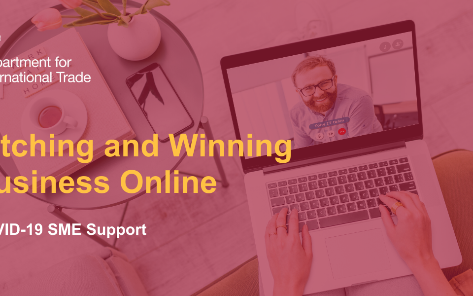Pitching and Winning Business Online