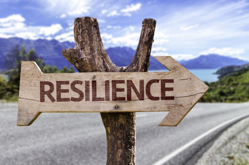 Building Resilience in your Business