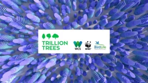 Trillion_Trees_WWF